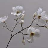 Magnolia spray white 105 cm